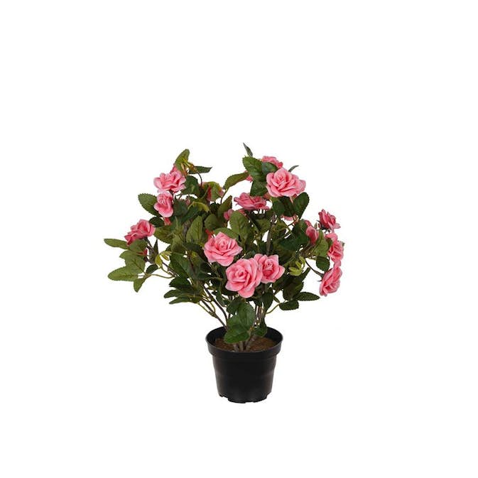 Konstväxt Fröken Fräken Ros 30 cm