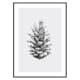 Poster Gallerix Sketched Spruce Cone