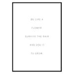 Poster Gallerix Like A Flower