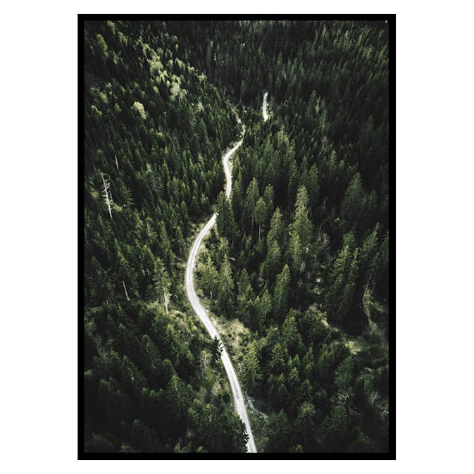 Poster Gallerix Coniferous Forest
