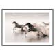 Poster Gallerix Wild Horses Running