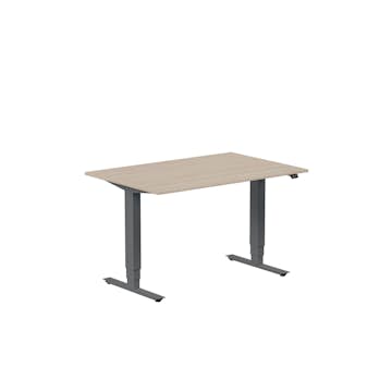 Höj- och Sänkbart Skrivbord Lanab Group Ergofunk Max 120