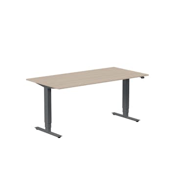 Höj- och Sänkbart Skrivbord Lanab Group Ergofunk Max 160