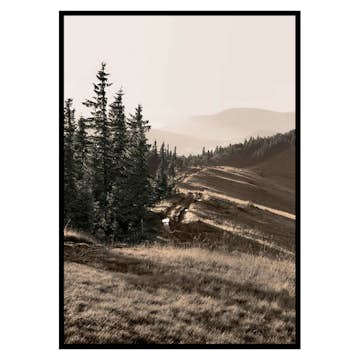 Poster Gallerix Carpathian Mountains