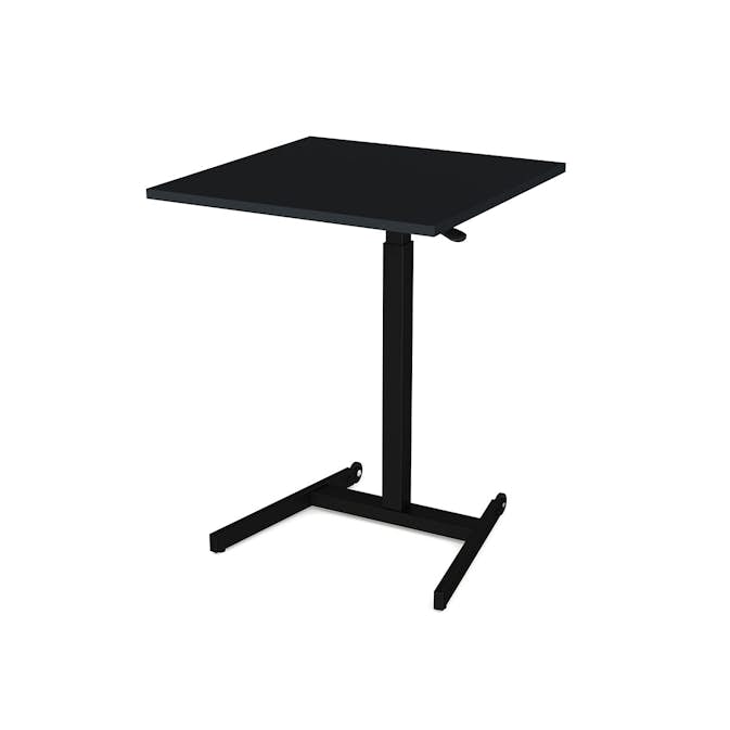 Höj- och Sänkbart Skrivbord Lanab Group Ergofunk Mini One