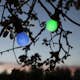 LED-lampa Star Trading B22 A55 Outdoor Lighting PC Cover SMD 0,9W