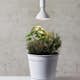 LED-lampa Star Trading E27 PAR38 Plant Light Röd