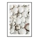 Poster Gallerix Sea Shells