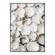 Poster Gallerix Sea Shells