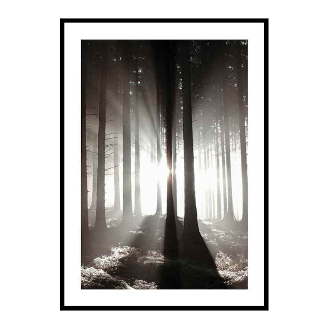 Poster Gallerix Misty Autumn Morning