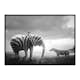 Poster Gallerix Zebraphant