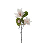 Konstväxt Fröken Fräken Magnolia