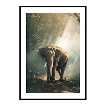 Poster Gallerix Forest Elephant