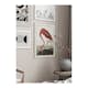 Poster Gallerix Flamingo 1827