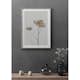 Poster Gallerix Single Dried Flower