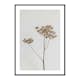 Poster Gallerix Single Dried Flower