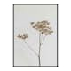 Poster Gallerix Single Dried Flower