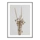 Poster Gallerix Dried Bouquet No1