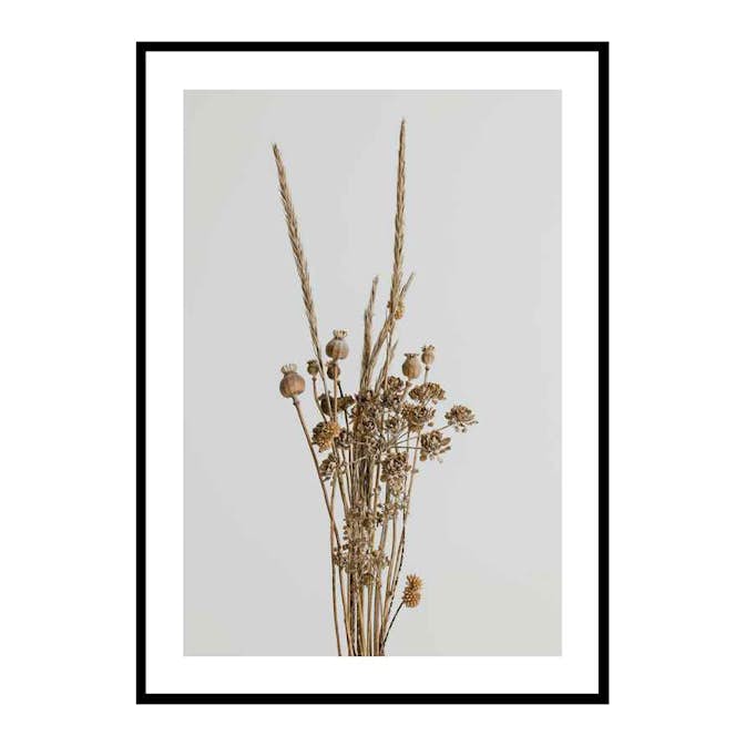 Poster Gallerix Dried Bouquet No1