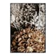 Poster Gallerix Dried Bouquet No2