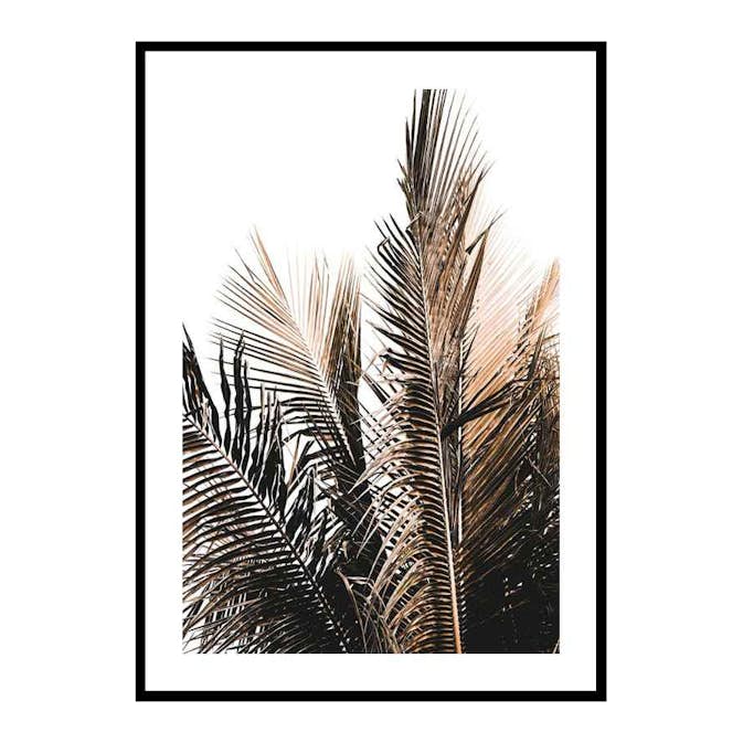Poster Gallerix Palm Leaves No2