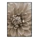 Poster Gallerix Autumn Dahlia