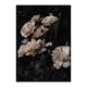 Poster Gallerix Dark White Roses