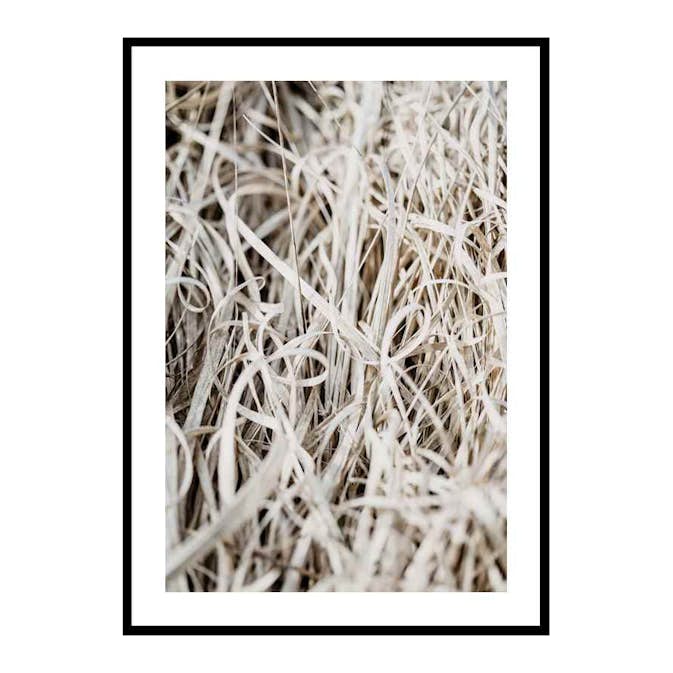 Poster Gallerix Grass