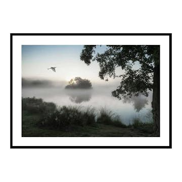 Poster Gallerix Misty Lake Bird