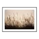 Poster Gallerix Sugar Cane