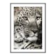 Poster Gallerix Leopard