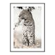 Poster Gallerix African Leopard