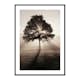 Poster Gallerix Tree In Sunrise