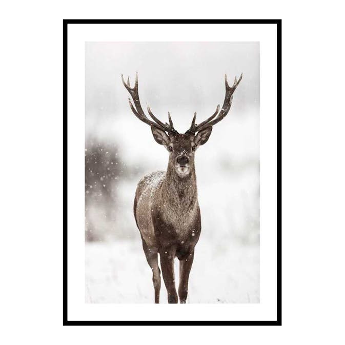 Poster Gallerix Majestic Red Deer