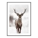Poster Gallerix Majestic Red Deer