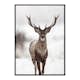 Poster Gallerix Majestic Red Deer