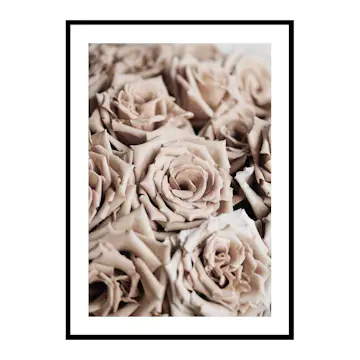 Poster Gallerix Roses