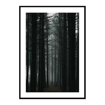 Poster Gallerix Dark Forest