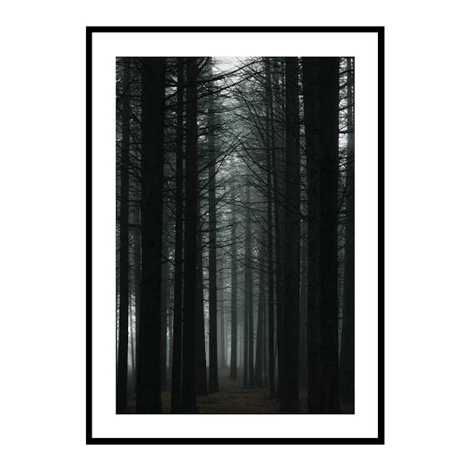Poster Gallerix Dark Forest
