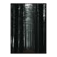 Poster Gallerix Dark Forest