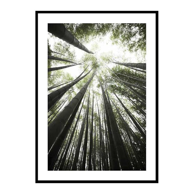 Poster Gallerix Bamboo Forest