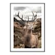 Poster Gallerix Deer In Mountain Landscape