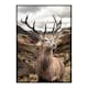 Poster Gallerix Deer In Mountain Landscape