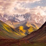 Tapet Living walls The Wall 38257-1