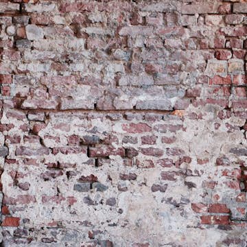 Tapet Living walls The Wall 38335-1