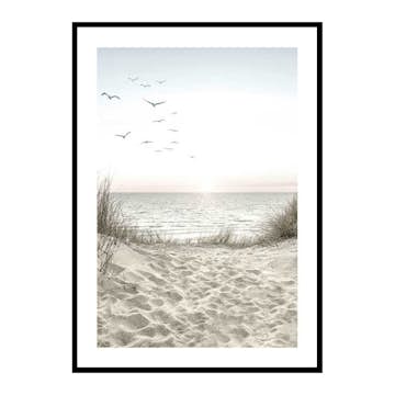 Poster Gallerix Seagulls Sandy Beach