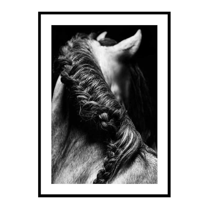 Poster Gallerix Horse Mane
