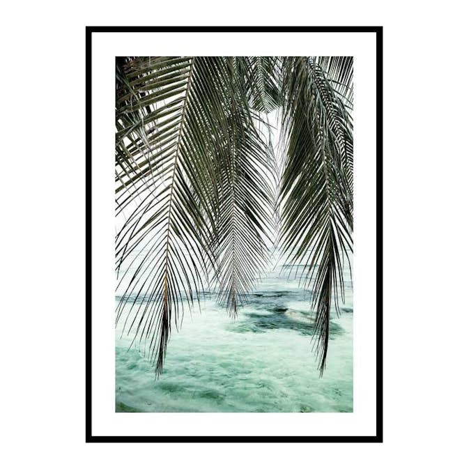 Poster Gallerix Palm Curtain
