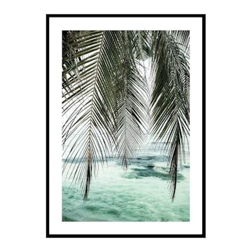 Poster Gallerix Palm Curtain