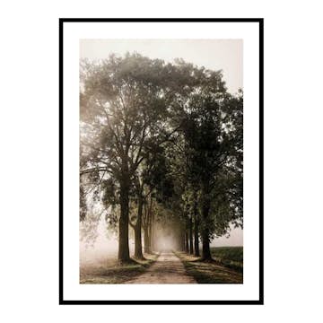 Poster Gallerix Morning Road